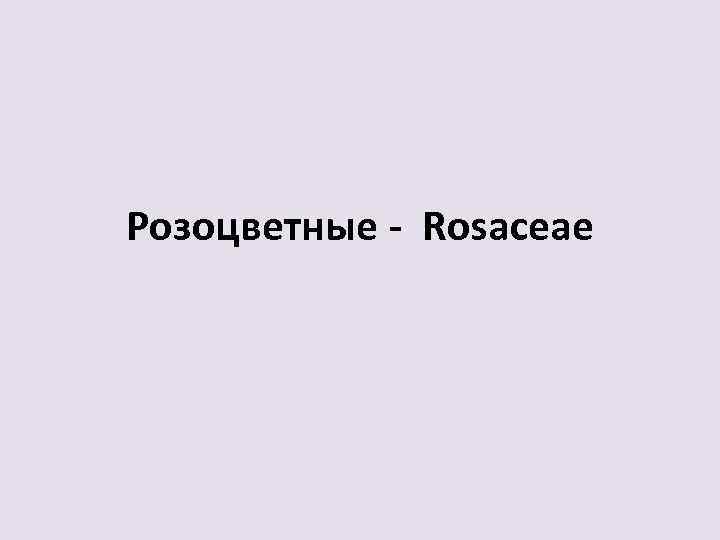 Розоцветные - Rosaceae 