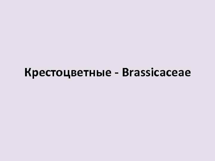 Крестоцветные - Brassicaceae 