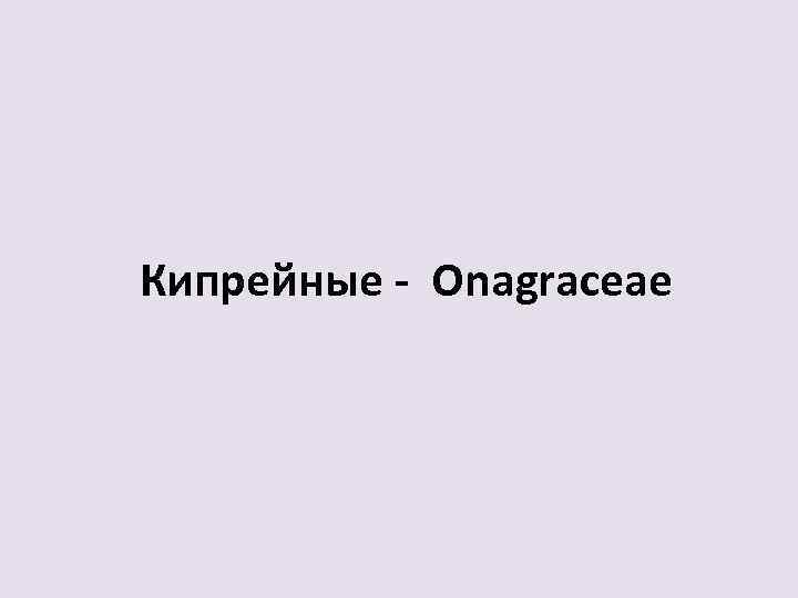 Кипрейные - Onagraceae 
