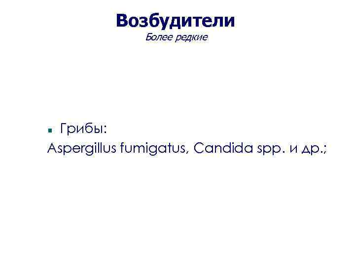 Возбудители Более редкие Грибы: Aspergillus fumigatus, Candida spp. и др. ; 