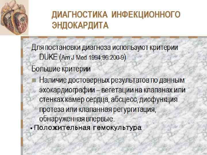  • Положительная гемокультура 