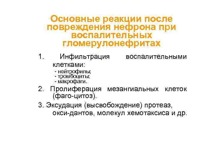 Основные реакции после повреждения нефрона при воспалительных гломерулонефритах 1. Инфильтрация клетками: воспалительными - нейтрофилы;