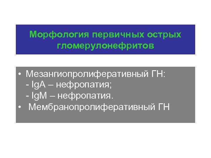Морфология первичных острых гломерулонефритов • Мезангиопролиферативный ГН: - Ig. A – нефропатия; - Ig.