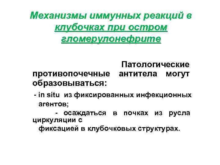 Механизмы иммунных реакций в клубочках при остром гломерулонефрите Патологические противопочечные антитела могут образовываться: -