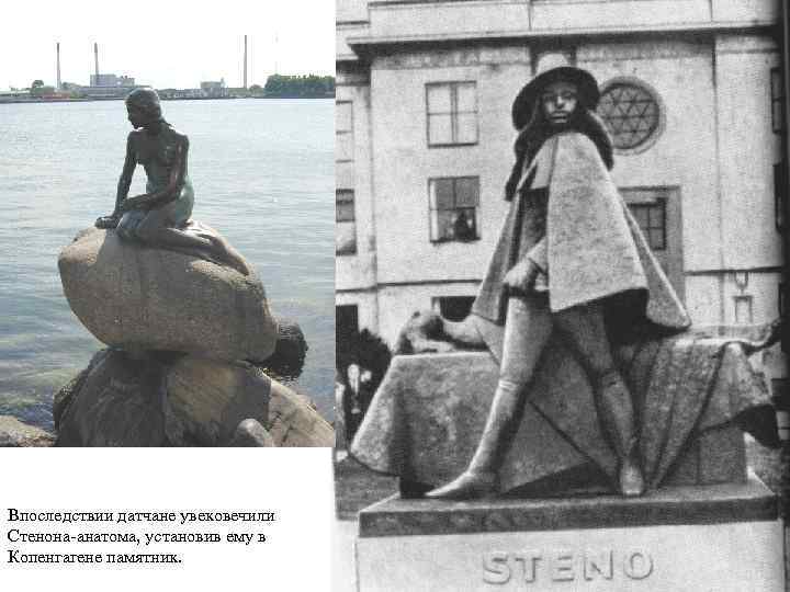 Впоследствии датчане увековечили Стенона-анатома, установив ему в Копенгагене памятник. 