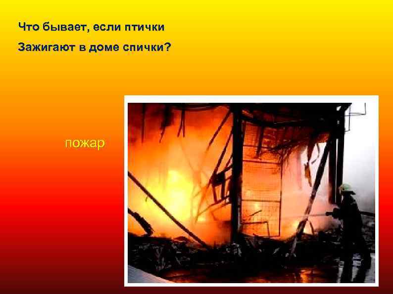 Что бывает, если птички Зажигают в доме спички? пожар 