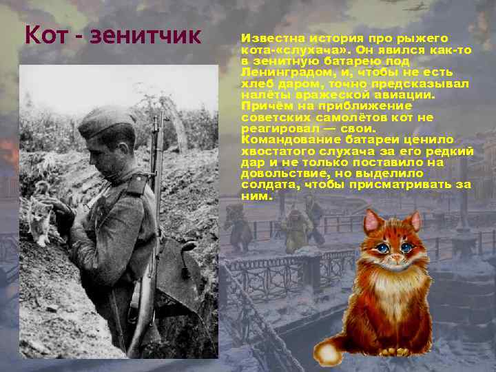 Кот - зенитчик Известна история про рыжего кота- «слухача» . Он явился как-то в