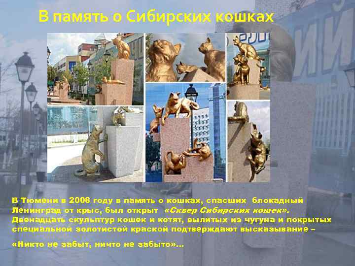 В память о Сибирских кошках В Тюмени в 2008 году в память о кошках,
