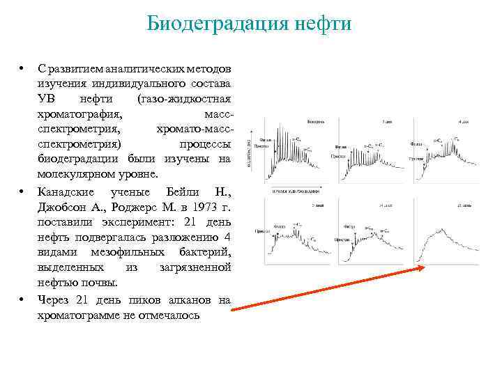 Биодеградация нефти • • • С развитием аналитических методов изучения индивидуального состава УВ нефти