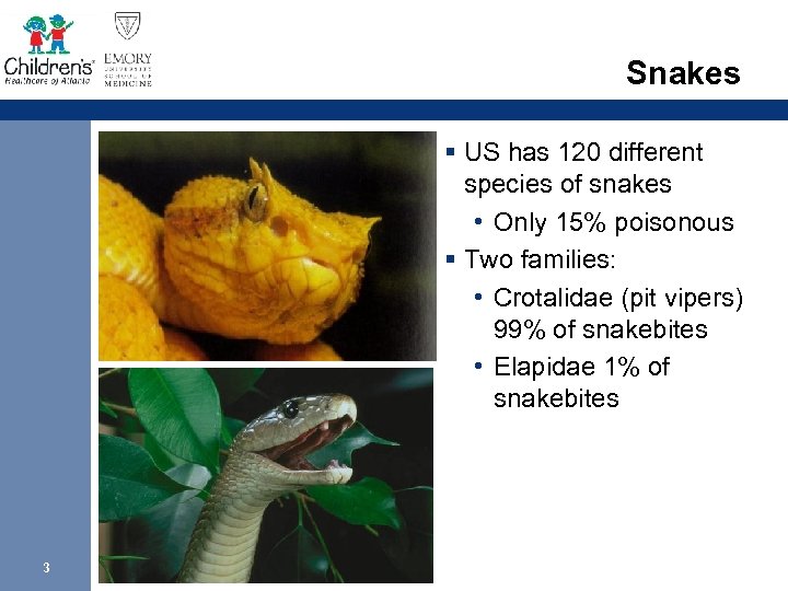 Snakes § US has 120 different species of snakes • Only 15% poisonous §