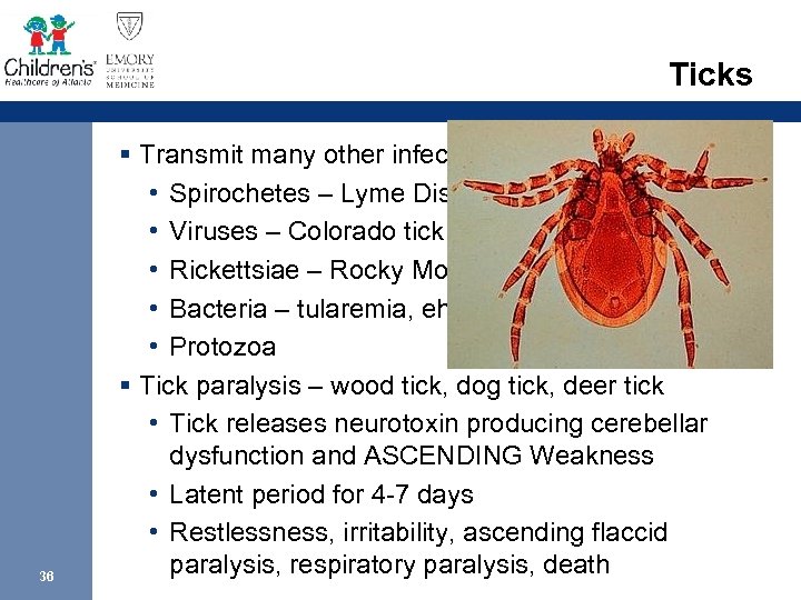 Ticks 36 § Transmit many other infectious diseases: • Spirochetes – Lyme Disease, relapsing