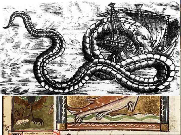 Чудеса далеких земель • Европейцы верили, что в дальних странах живут люди, непохожие на