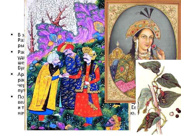 Грезы об Индии • В эпоху развитого средневековья в Европе растут города. Развивается ремесло