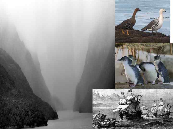 Памяти Магеллана • Ныне имя Магеллана носит пролив между континентом Южная Америка и архипелагом