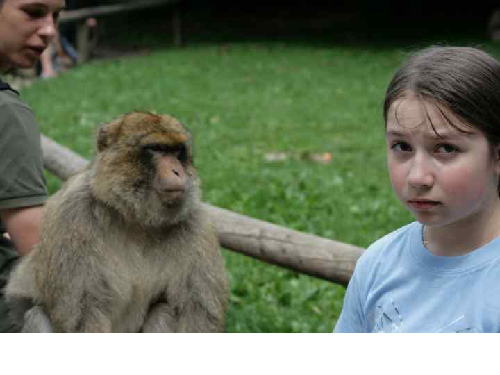 Упражнение 1: Знакомство • Пусть каждый из вас назовет по одному правилу знакомства, из