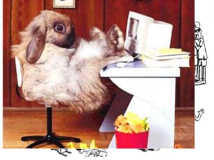 Социальные нормы Виды правил (норм) Что устанавливают Примеры По направленности: предписывающие, запрещающие Какое поведение