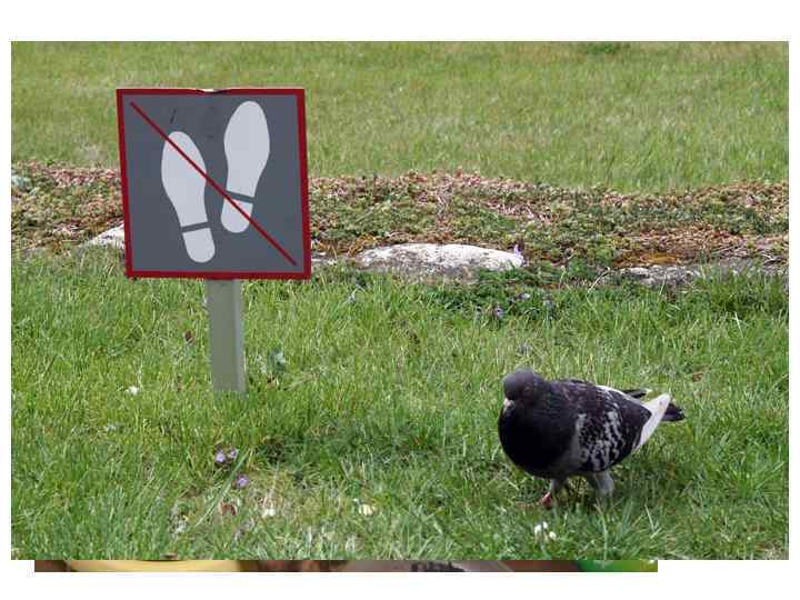 Упражнение 2: Кто больше? • Узнав о многообразии норм, существующих в обществе, назовите как