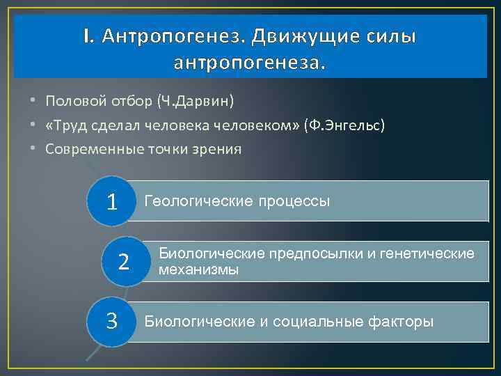 I. Антропогенез. Движущие силы антропогенеза. • Половой отбор (Ч. Дарвин) • «Труд сделал человека