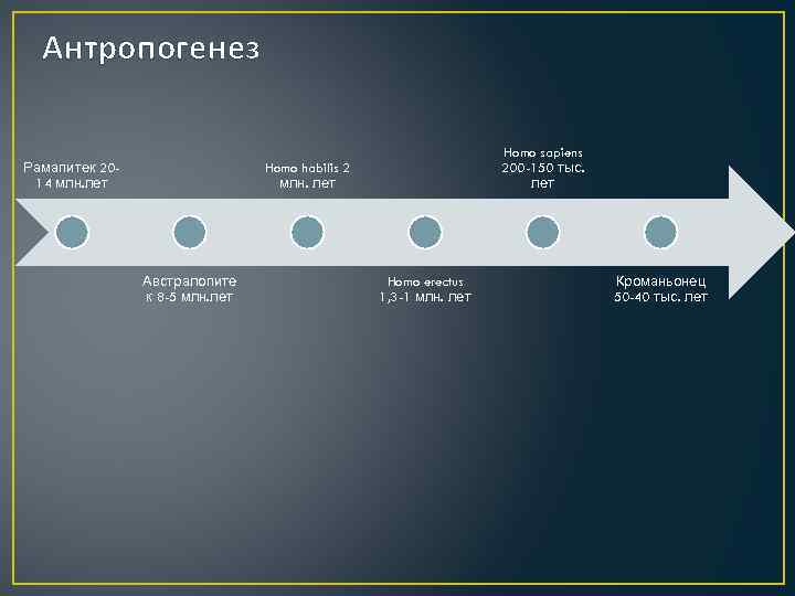 Антропогенез Рамапитек 2014 млн. лет Homo sapiens 200 -150 тыс. лет Homo habilis 2