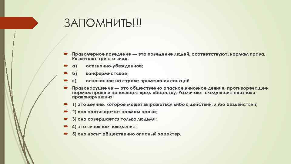 Правомерное поведение план