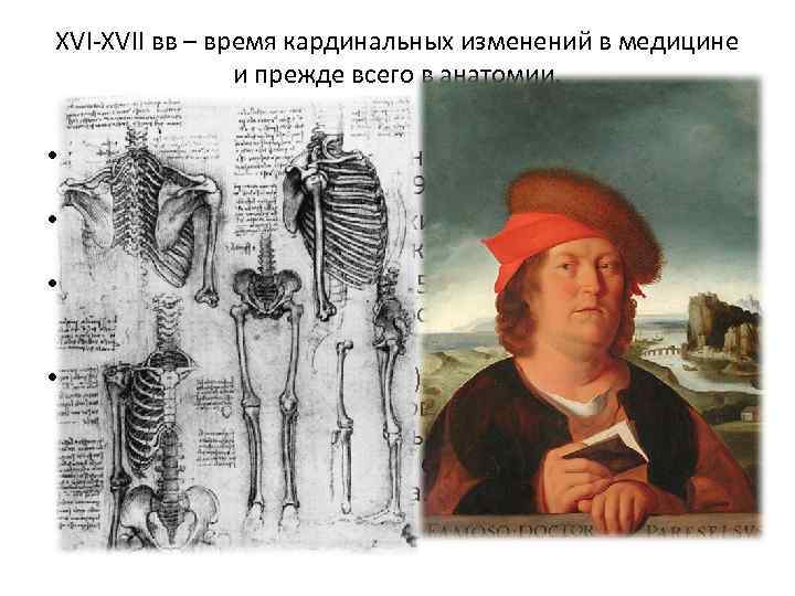 XVI-XVII вв – время кардинальных изменений в медицине и прежде всего в анатомии. •