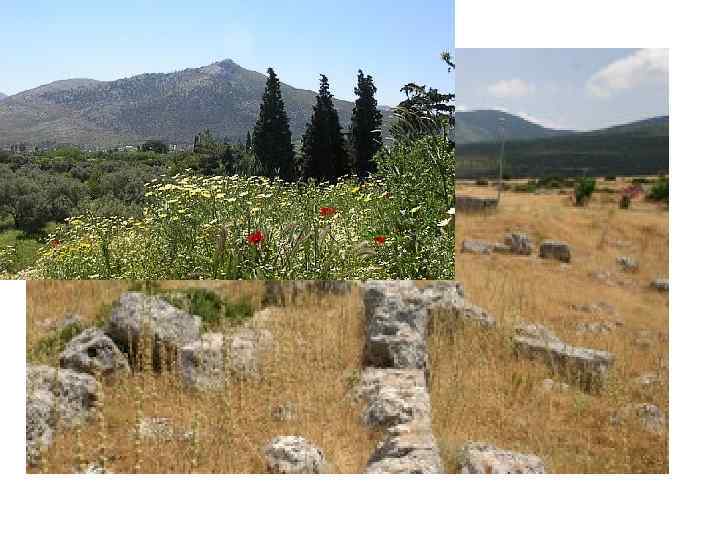 ЛАКОНИЧНАЯ РЕЧЬ • С детских лет в Спарте обучили говорить кратко, четко, по существу.