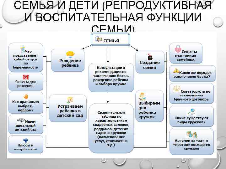 СЕМЬЯ И ДЕТИ (РЕПРОДУКТИВНАЯ И ВОСПИТАТЕЛЬНАЯ ФУНКЦИИ СЕМЬИ) 