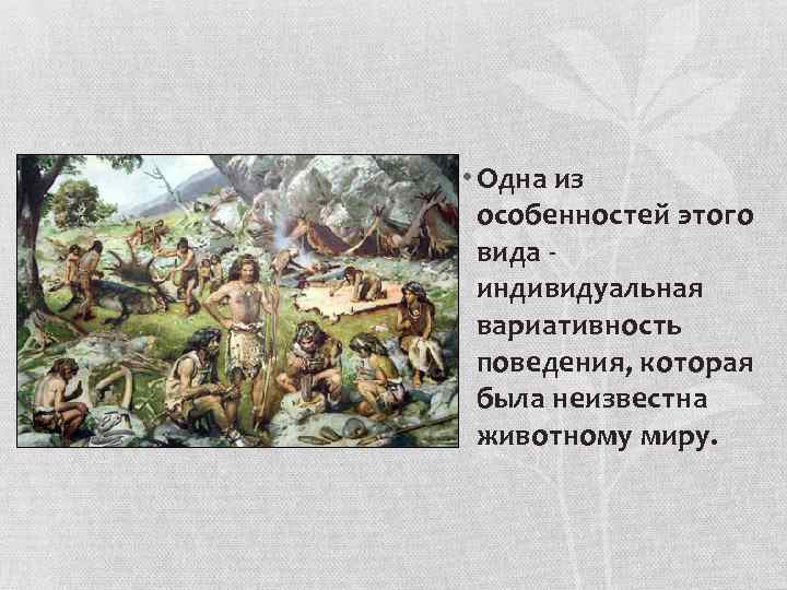  • Одна из особенностей этого вида индивидуальная вариативность поведения, которая была неизвестна животному