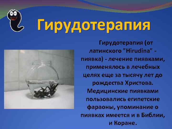 Гирудотерапия (от латинского "Hirudina" - пиявка) - лечение пиявками, применялось в лечебных целях еще