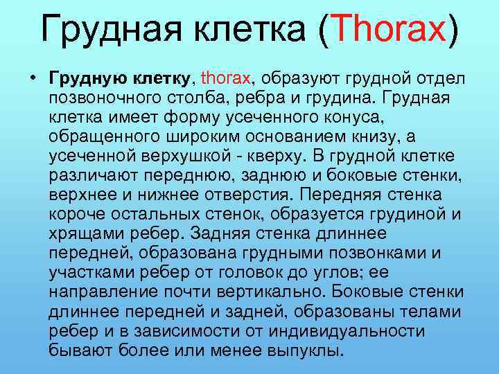 Грудная клетка (Thorax) • Грудную клетку, thorax, образуют грудной отдел позвоночного столба, ребра и