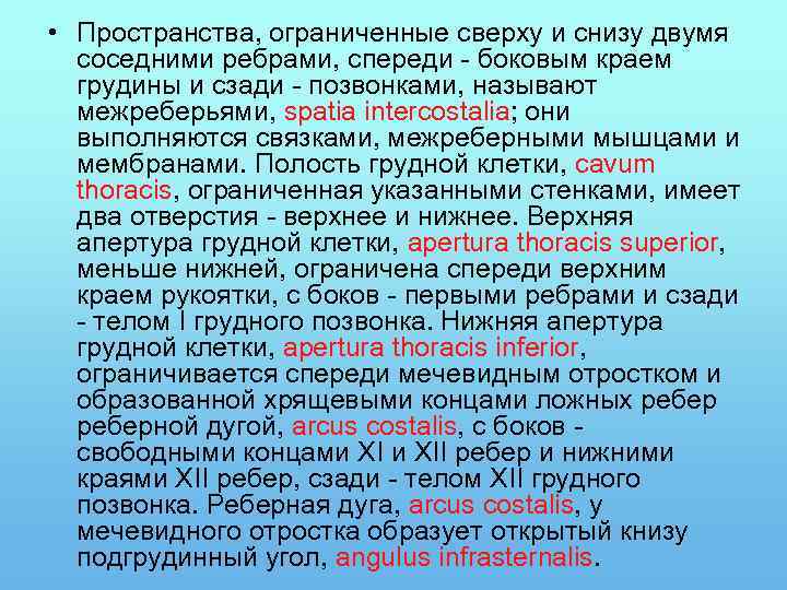  • Пространства, ограниченные сверху и снизу двумя соседними ребрами, спереди - боковым краем