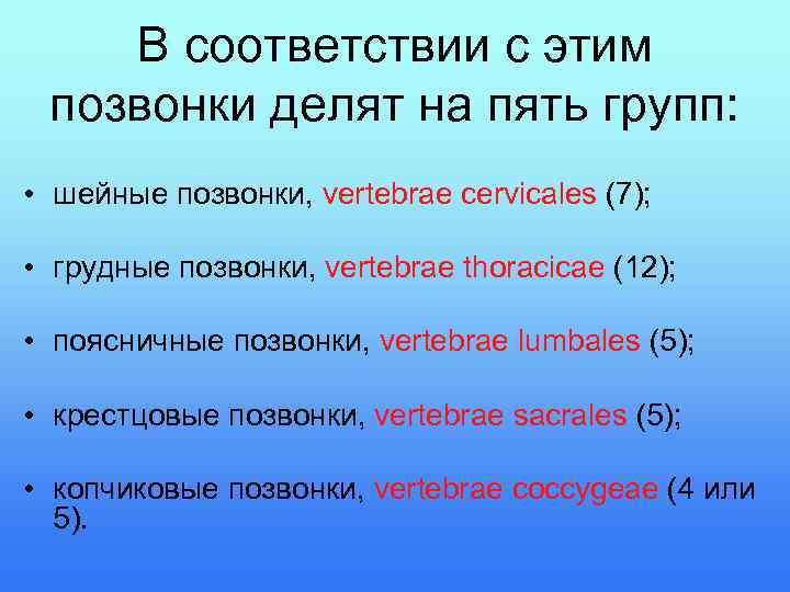 В соответствии с этим позвонки делят на пять групп: • шейные позвонки, vertebrae cervicales