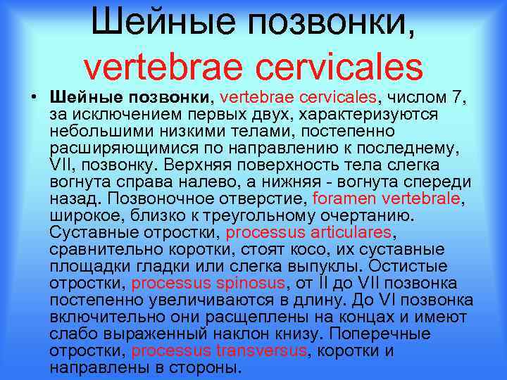 Шейные позвонки, vertebrae cervicales • Шейные позвонки, vertebrae cervicales, числом 7, за исключением первых