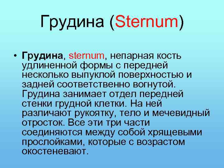 Грудина (Sternum) • Грудина, sternum, непарная кость удлиненной формы с передней несколько выпуклой поверхностью