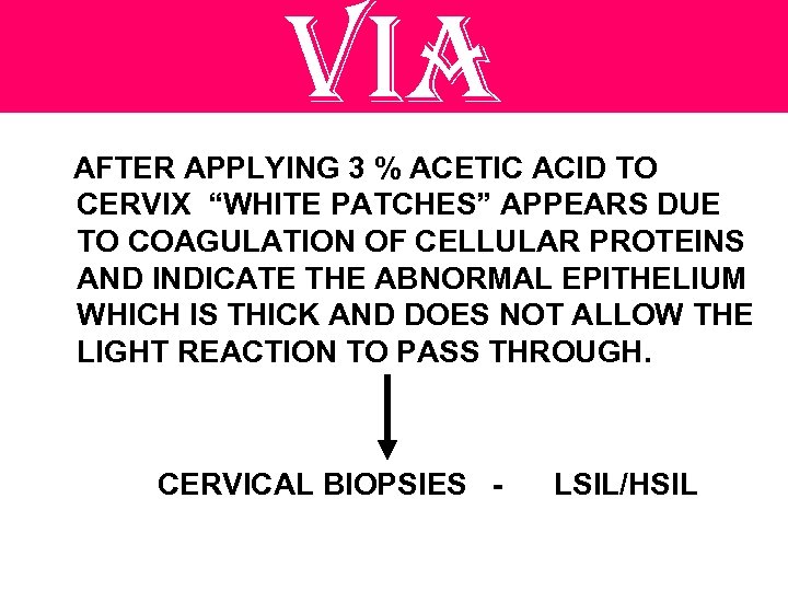via AFTER APPLYING 3 % ACETIC ACID TO CERVIX “WHITE PATCHES” APPEARS DUE TO
