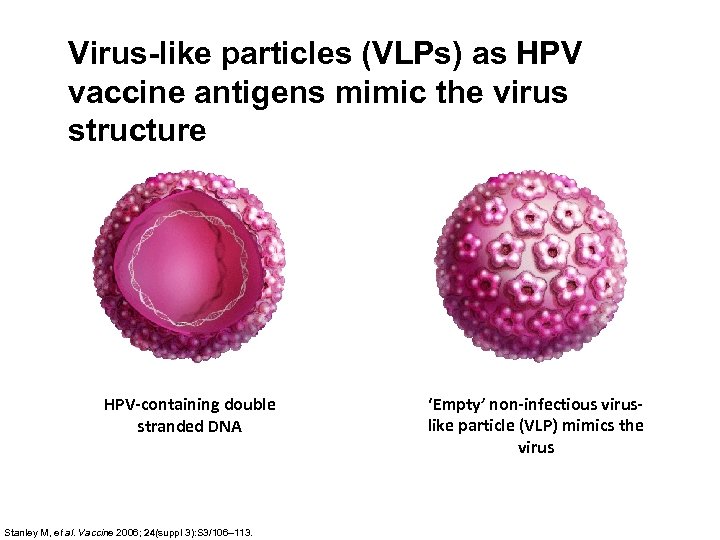 Virus-like particles (VLPs) as HPV vaccine antigens mimic the virus structure HPV-containing double stranded