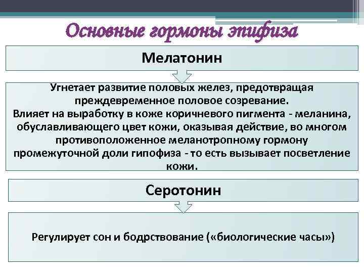 Основные гормоны эпифиза Мелатонин Угнетает развитие половых желез, предотвращая преждевременное половое созревание. Влияет на