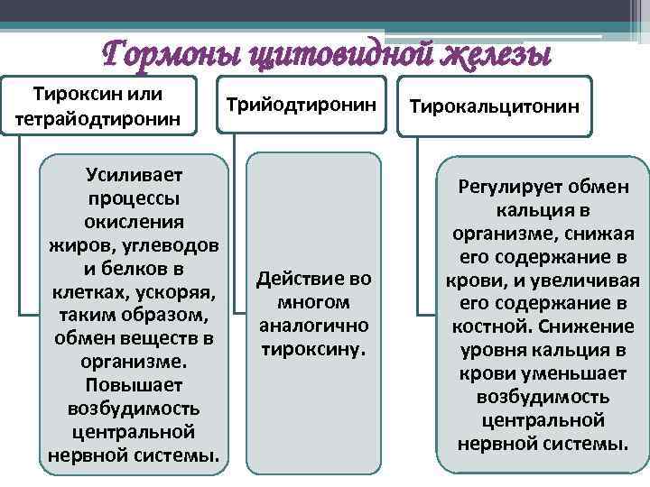 Гормоны щитовидной железы Тироксин или тетрайодтиронин Усиливает процессы окисления жиров, углеводов и белков в