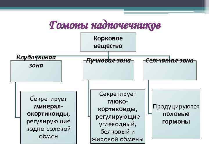 Гомоны надпочечников Корковое вещество Клубочковая зона Секретирует минералокортикоиды, регулирующие водно-солевой обмен Пучковая зона Секретирует