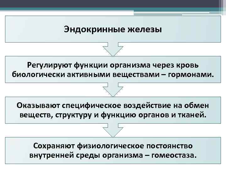 Эндокринные железы Регулируют функции организма через кровь биологически активными веществами – гормонами. Оказывают специфическое