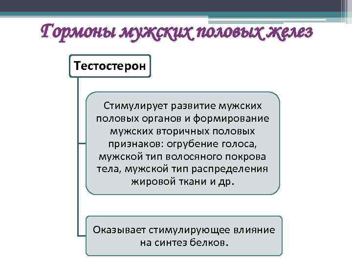 Гормоны мужских половых желез Тестостерон Стимулирует развитие мужских половых органов и формирование мужских вторичных