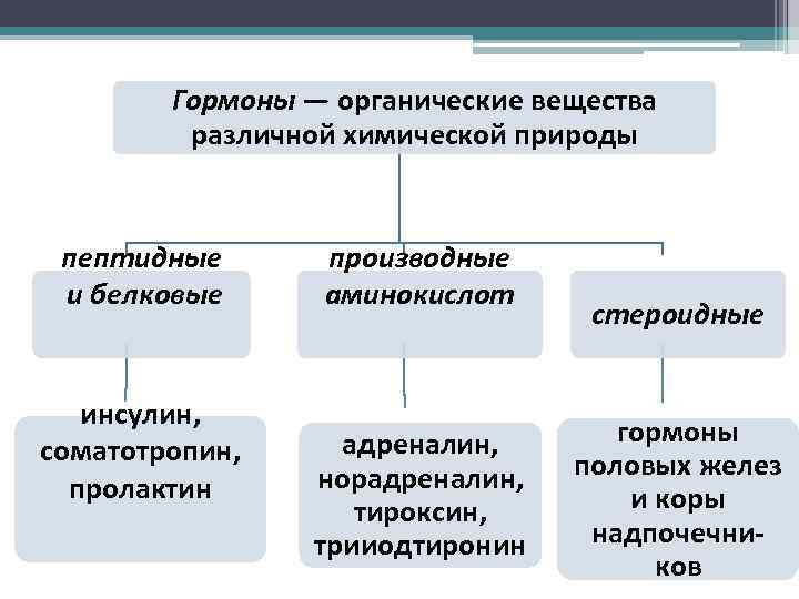 Химическая природа гормонов аминокислотная белковая стероидная заполните схему