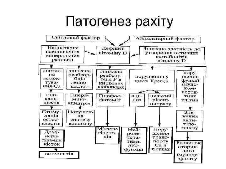 Патогенез рахіту 