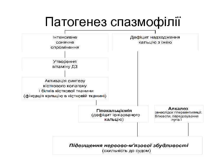 Патогенез спазмофілії 