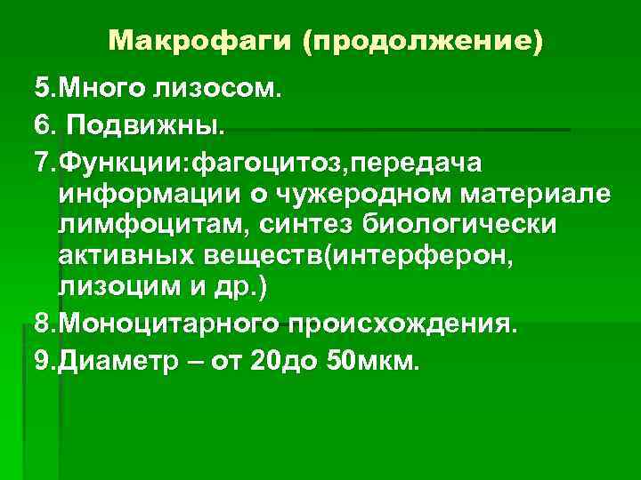 Макрофаги (продолжение) 5. Много лизосом. 6. Подвижны. 7. Функции: фагоцитоз, передача информации о чужеродном