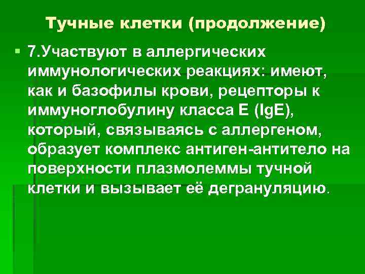 Тучные клетки (продолжение) § 7. Участвуют в аллергических иммунологических реакциях: имеют, как и базофилы