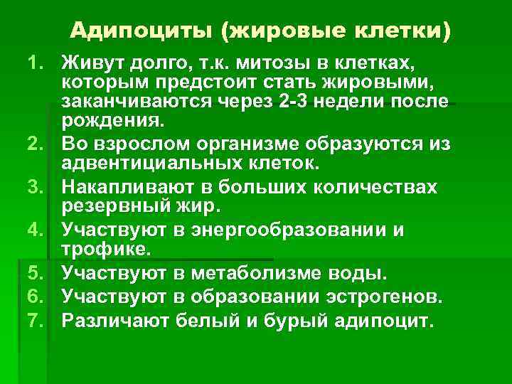 Адипоциты (жировые клетки) 1. Живут долго, т. к. митозы в клетках, которым предстоит стать