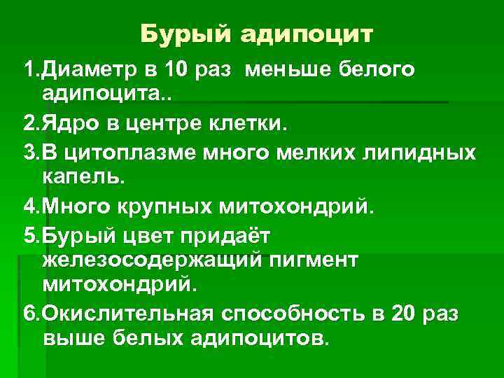 Бурый адипоцит 1. Диаметр в 10 раз меньше белого адипоцита. . 2. Ядро в