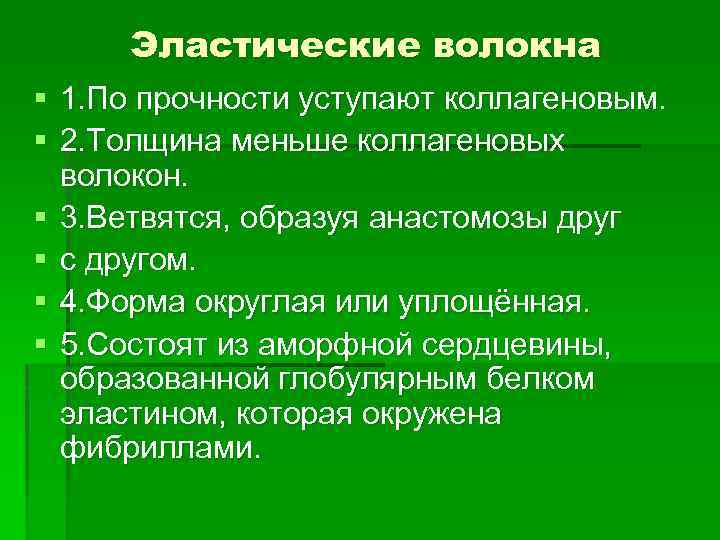 Эластические волокна § 1. По прочности уступают коллагеновым. § 2. Толщина меньше коллагеновых волокон.