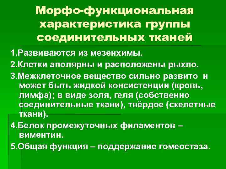 Морфо-функциональная характеристика группы соединительных тканей 1. Развиваются из мезенхимы. 2. Клетки аполярны и расположены